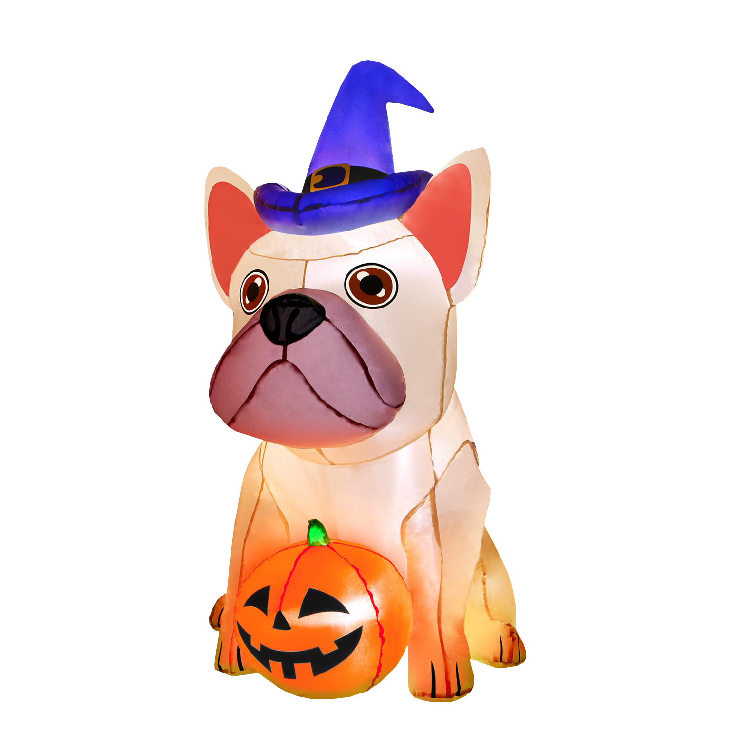 Pumpkin dog